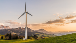 Ultra Phylum - L'innovation Ultra Phylum - L'innovation